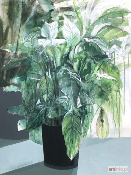 SIDARCHUK Anastasiya | Domowa dżungla (2018)