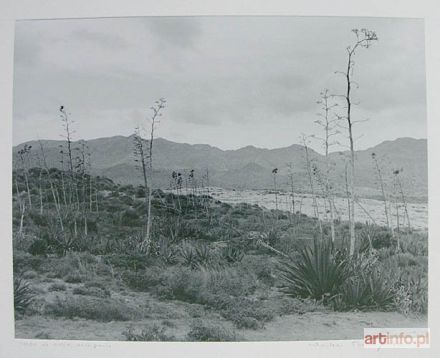 TKACZYŃSKI Wojciech | Cabo de Gata #1, z cyklu Hiszpania