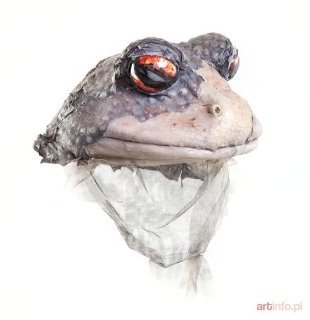 Maska żaby ze spektaklu Śmierć i dziewczyna, 2015 r.