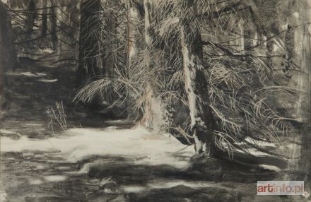 WYCZÓŁKOWSKI Leon | Park w Gościeradzu, 1927 r.