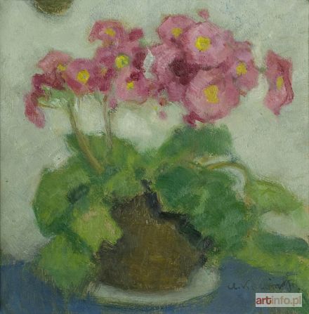 KARPIŃSKI Alfons | Pelargonie