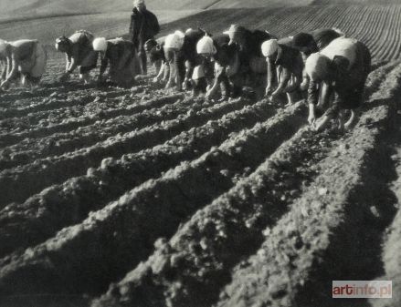 HARTWIG Edward | Sadzenie kartofli (znana także jako Sadzenie buraków)