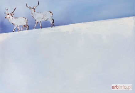 ŚRODOWSKA Katarzyna | Ośnieżone, 2017 r.