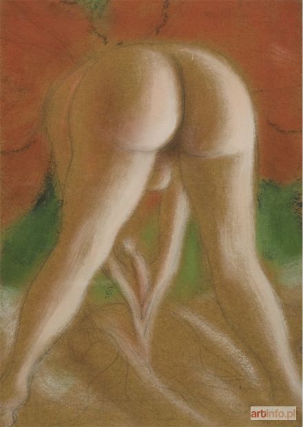 ŻECHOWSKI Stefan | EROTYK