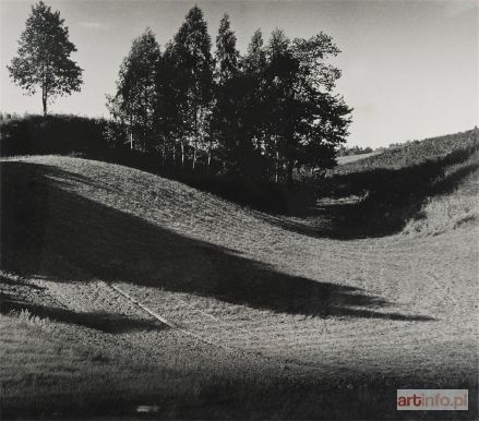 SPAŁWAN Jan | Smugi cieni, 1980