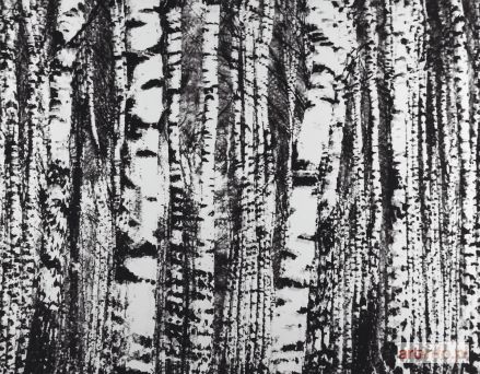 KAMIŃSKI Krzysztof | Birches from the Forest series