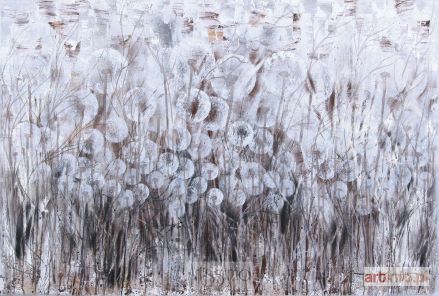 ŚWIGULSKA Mariola | Wieczorową porą z cyklu Zauroczona dmuchawcami, 2017