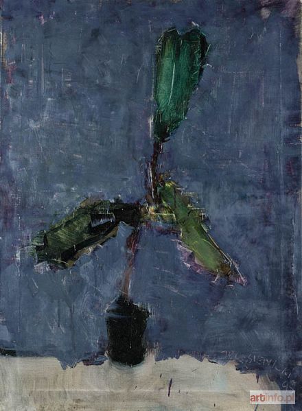 SIENICKI Jacek | Fikus, 1995