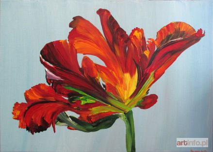 NO NAME (pseud.) | Tulipan postrzępiony, 2019r.