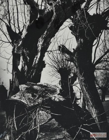 HARTWIG Edward | Rodzima sprawa, 1985