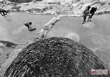 GUDZOWATY Tomasz | Salt Pound, Peru 2004