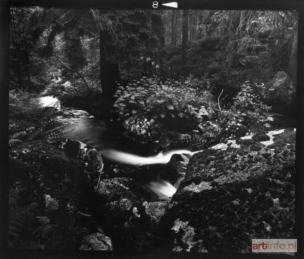 ZAWADZKI Wojciech | The Karkonosze in 1975 from The Karkonosze series