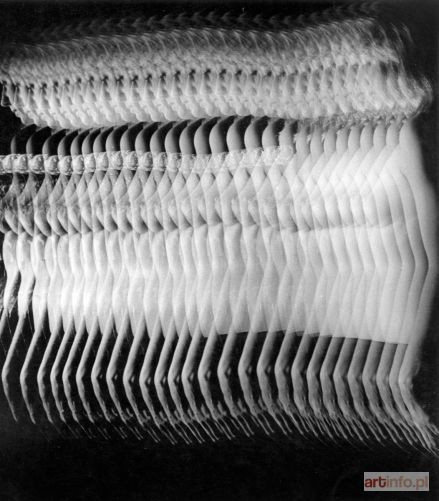 NOWAK Wacław | Stroboscopic Experiment No. 3