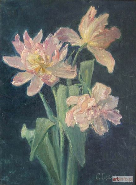 CARL Clara Wilhelmina | Tulipany (1926)