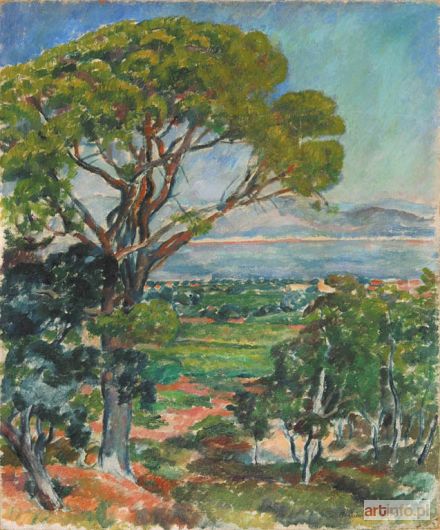 PANKIEWICZ Józef | Pinia, 1909 r.