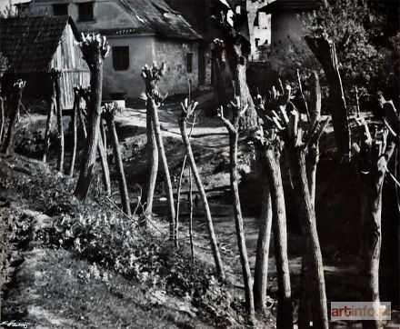 HARTWIG Edward | Wierzby nad potokiem, Kazimierz Dolny, 1953