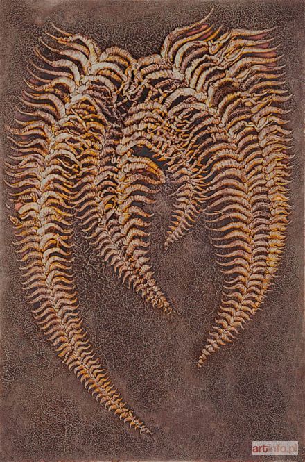 OSTOJA-LNISKI Błażej | The Fern , 2008