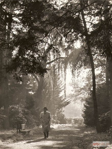 STROJNY Władysław | Park Szczytnicki w jesiennym słońcu, Wrocław, 21.10. 1962