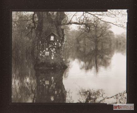 SUDZIŃSKI Marcin | Votive Tree, Jablonna, Monastery