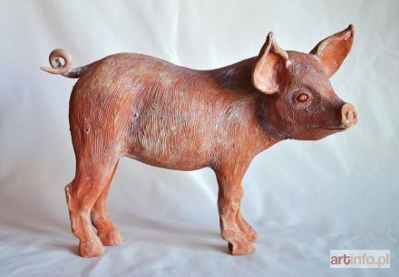 ŚLIWA Aneta | Świnia, 2017