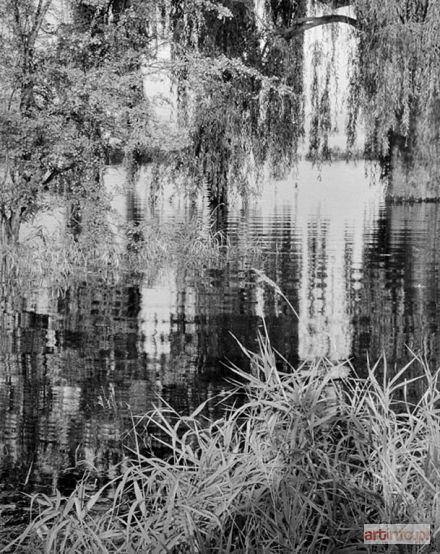 LEŚNIAK Janusz | Tęgoborze, z cyklu: Leśniaki, 1992