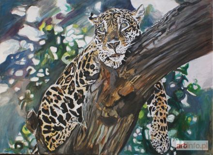 FORYŚ Ilona, Jadwiga, Ilafo, pseud. | Jaguar, 2017