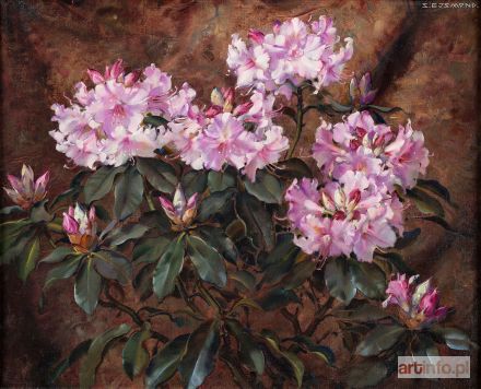 EJSMOND Stanisław | Różowy rododendron, ok. 1925