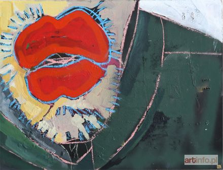 BARTOSIK Gosia | MR LIPS, 2017 r.