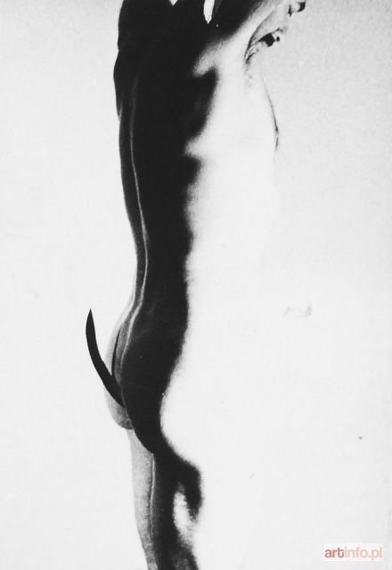 KONIECZNY Marek | Orion’s Sickle