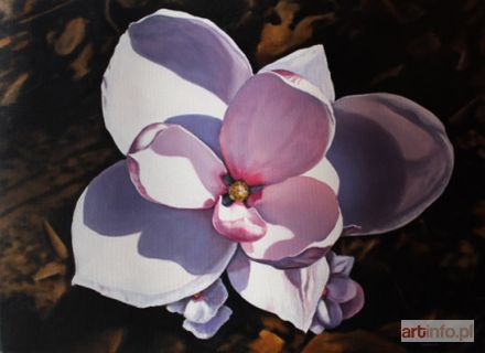 LASKOWSKA Magdalena | Magnolie II, 2013 r.