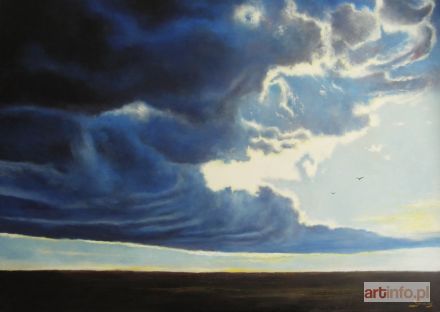 HAMADA Konrad | Ptaki, 2019 r.