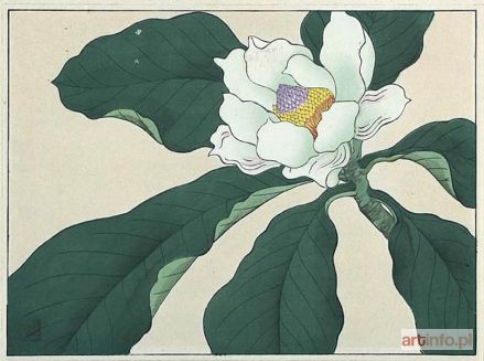 SAKAI Hoitsu | MAGNOLIA