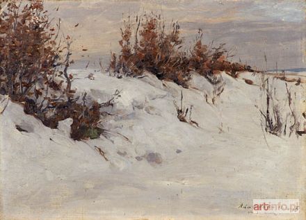 JANOWSKI Stanisław | ADAMÓWKA, 1896