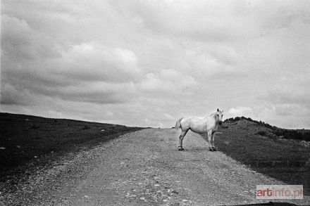 GÓRA Leszek | Droga, Rumunia, z cyklu: Okna, 2009