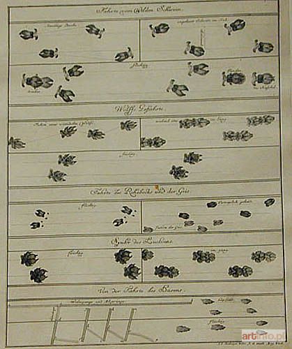 RIDINGER Johann Elias | Tropy dzika, wilka, jelenia, łani, rysia, 1740