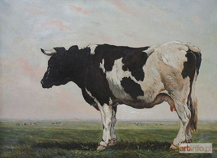 Malarz nieokreślony, zachodnioeuropejski | Krowa