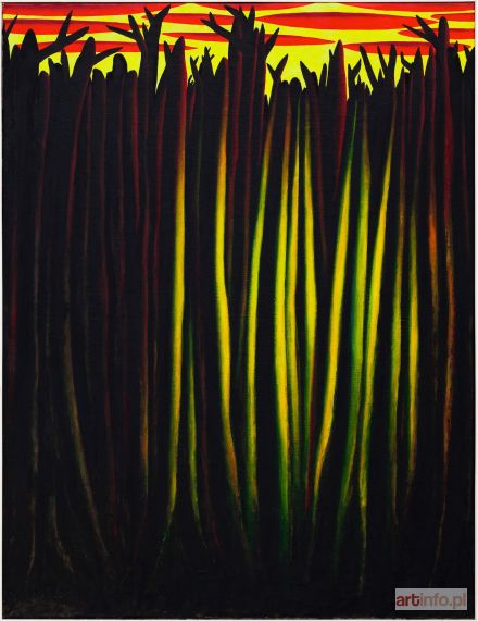 ĆWIERTNIEWICZ Wojciech | Bt(38), 1988