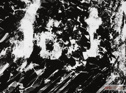 SCHLABS Bronisław | Photogram