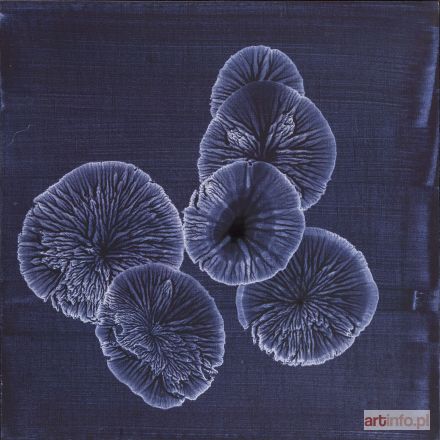 BUJNOWSKI Rafał | Bez tytułu, z serii Kolonie, 2006 r.