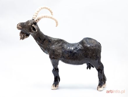 ŚLIWA Aneta | Koza, 2018