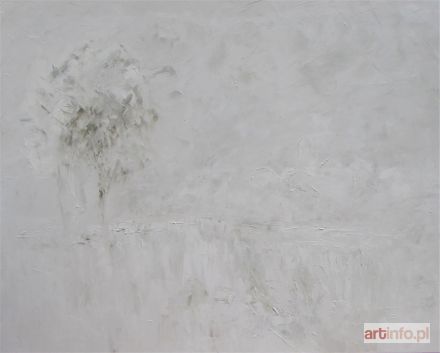 ŁUKASIEWICZ Misia | Miasteczko Twin Peaks, 2014 r.