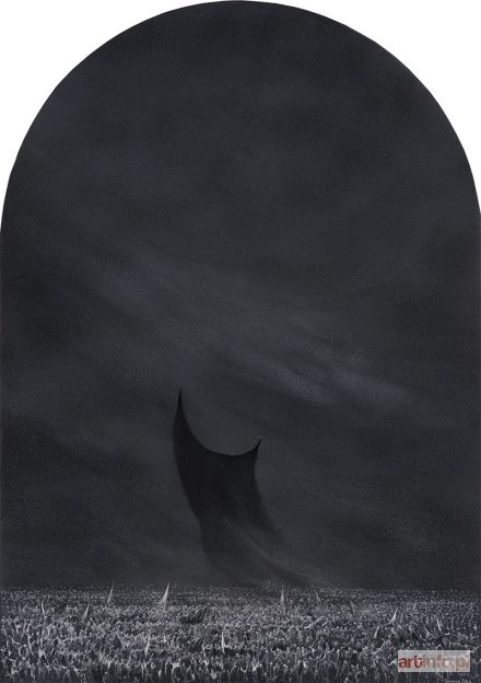 STEC Grzegorz | Pod sztandarami nieba, 2001