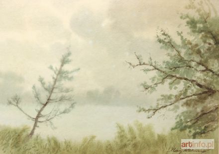 NEHRING Maciej | Jezioro wiosną