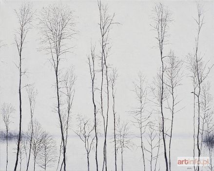 BORCZ Rafał | Zima, 2013 r.