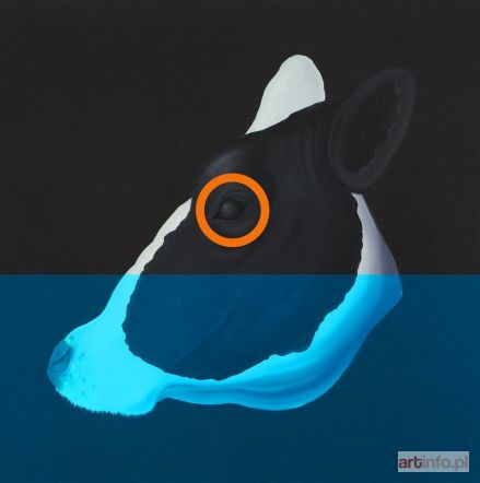 CAMPIO  | COW, 2018