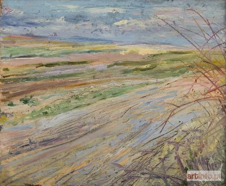 WYSPIAŃSKI Stanisław | Pejzaż - widok pól, około 1894 r.
