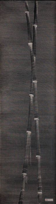 BUJNOWSKI Rafał | Bambus, 2005