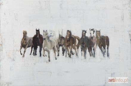 KRUTUL Agata | HasterII, 2017 r.